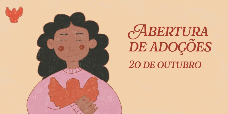 Banner Lancamento 2025